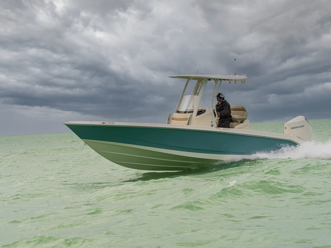 2027 Boston Whaler 250 Dauntless 25.0 feet, Naples, Florida #23
