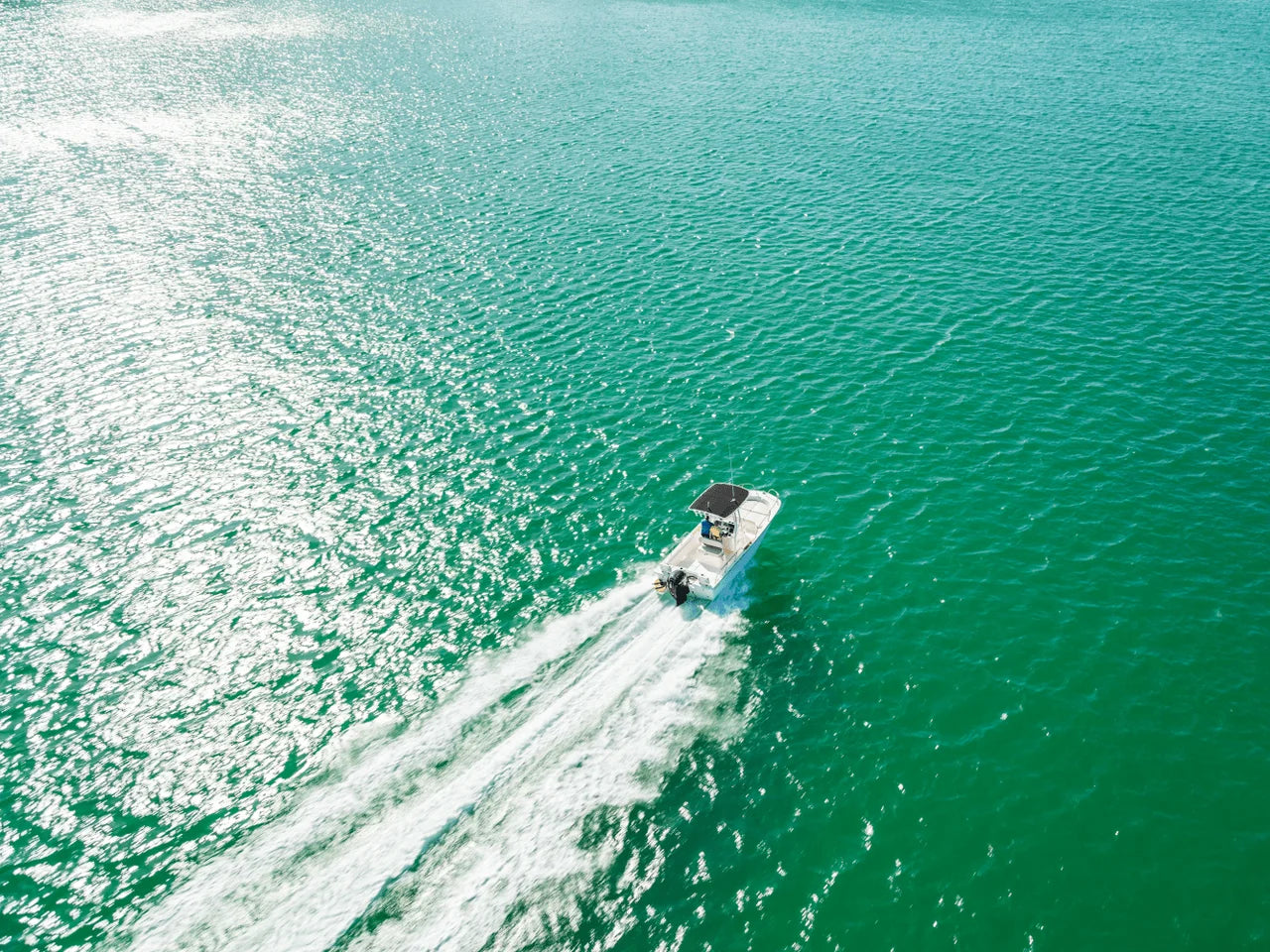 2027 Boston Whaler 190 Montauk 19.0 feet, Piedmont, South Carolina #11