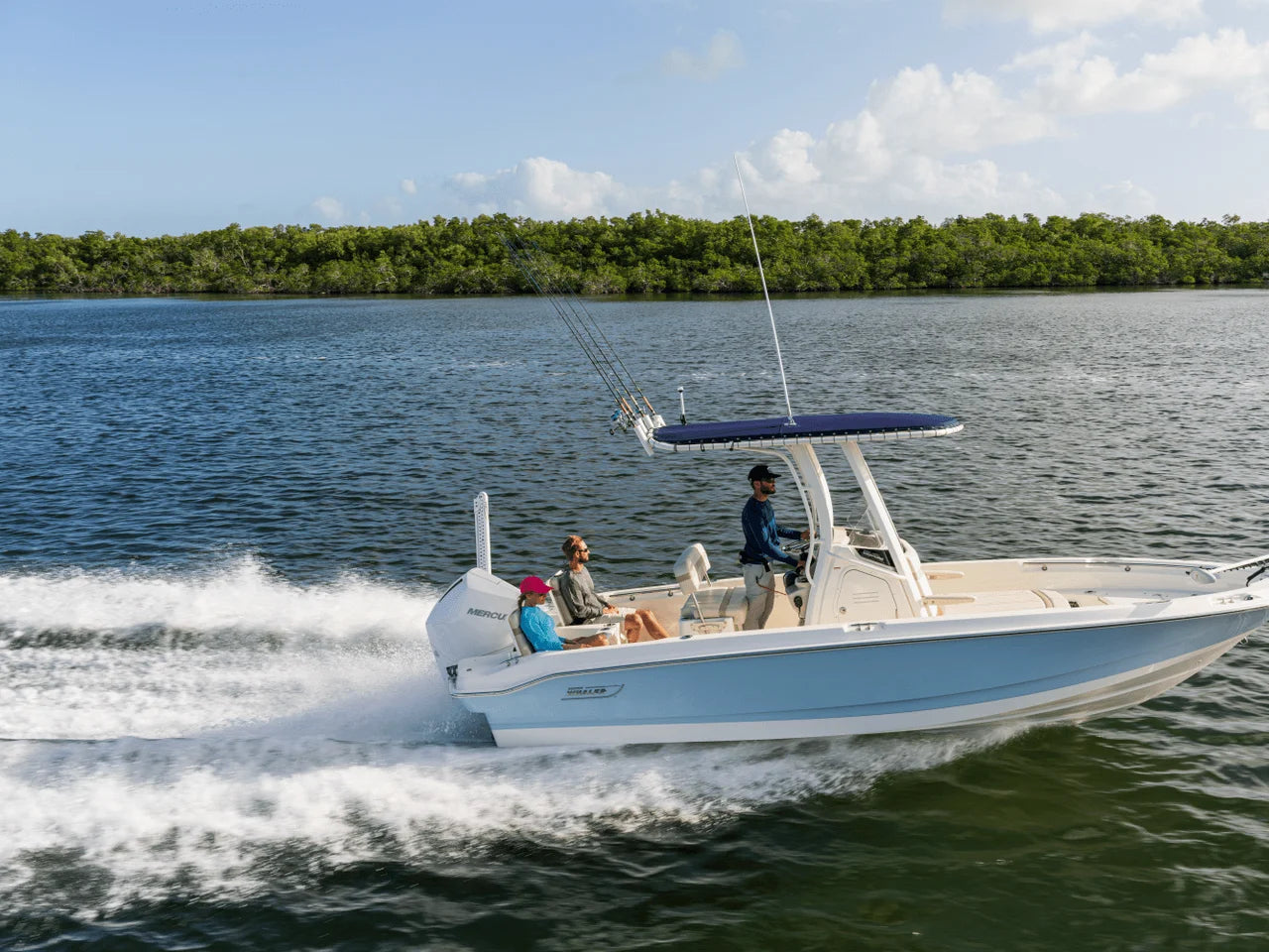 2027 Boston Whaler 220 Dauntless 22.0 feet, Naples, Florida #8