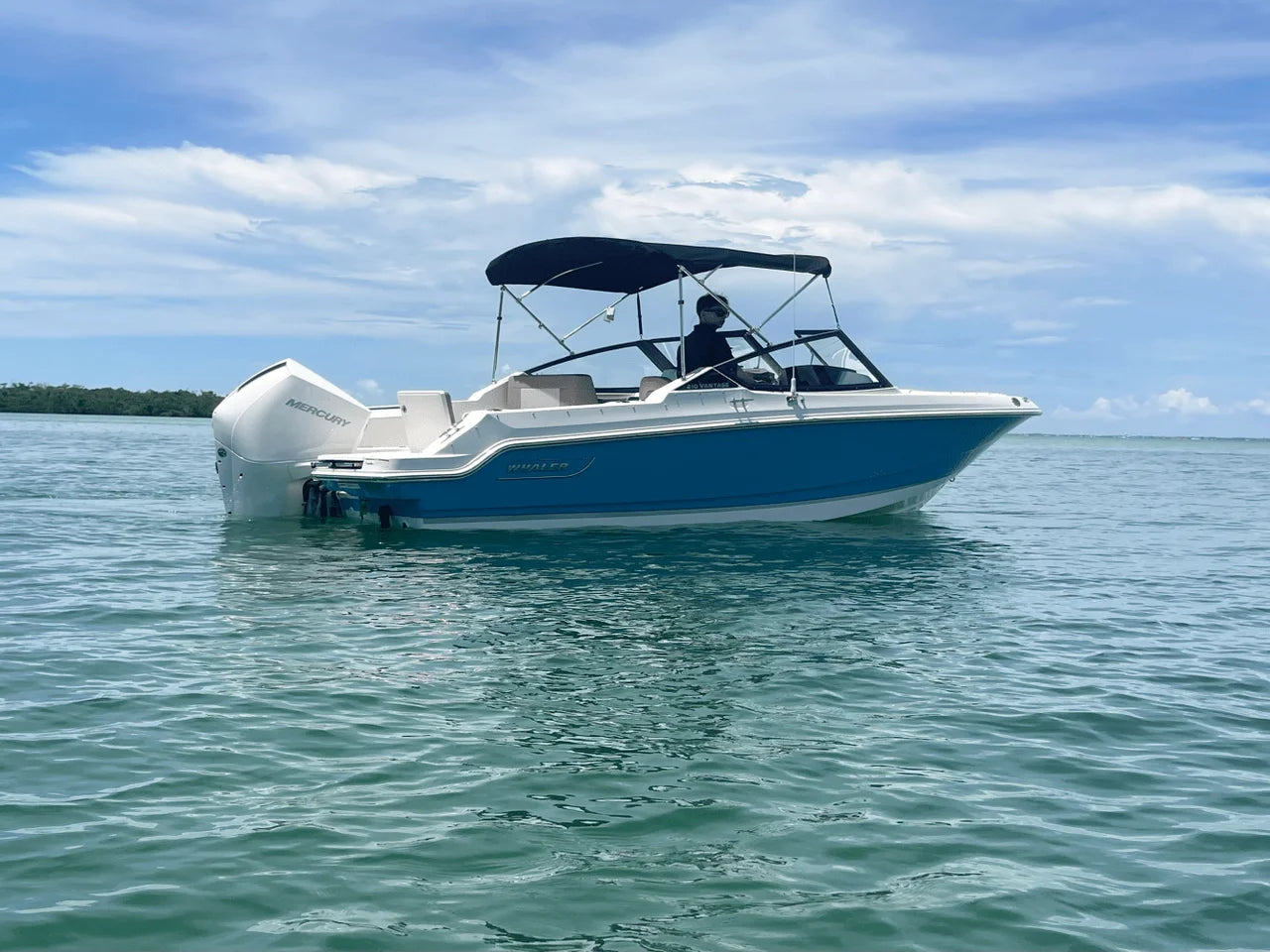 2025 Boston Whaler 210 Vantage 21.0 feet, Sarasota, Florida #2