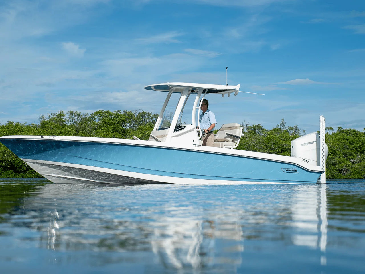 2026 Boston Whaler 250 Dauntless 25.0 feet, Fort Myers, FL #30