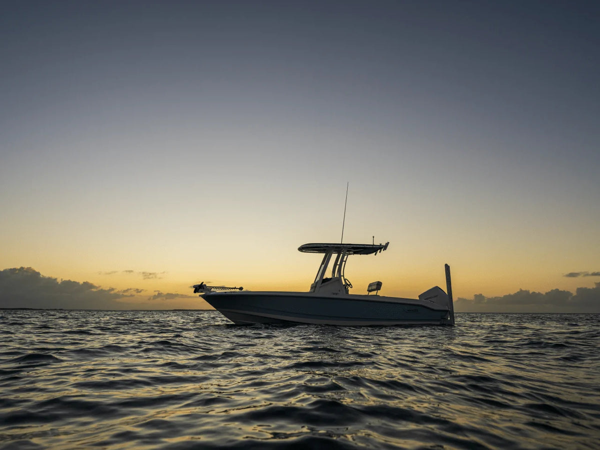 2027 Boston Whaler 220 Dauntless 22.0 feet, Naples, Florida #20