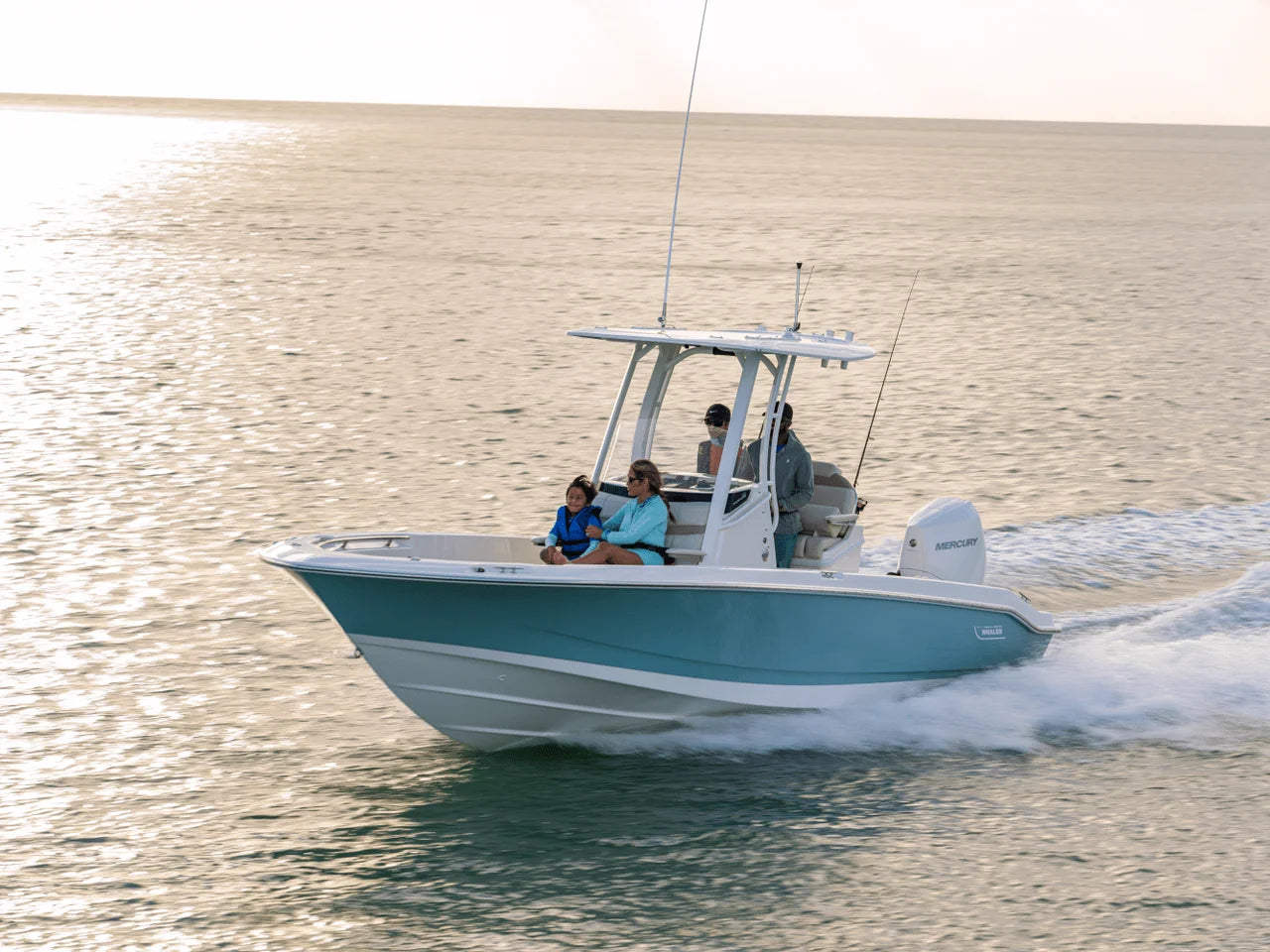 2027 Boston Whaler 250 Dauntless 25.0 feet, Clearwater, Florida #12