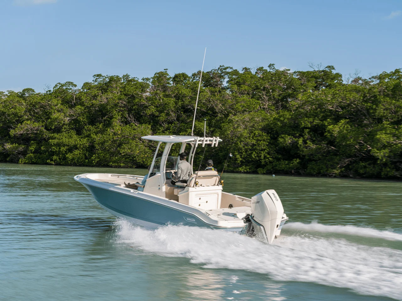 2027 Boston Whaler 250 Dauntless 25.0 feet, Naples, Florida #15