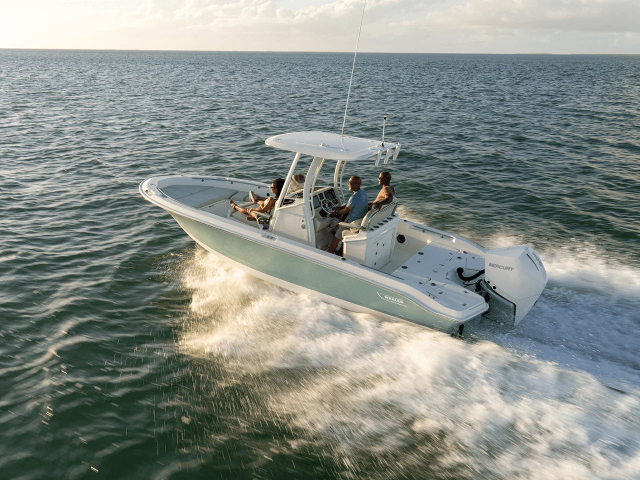 2027 Boston Whaler 250 Dauntless 25.0 feet, Gulf Shores, AL #30