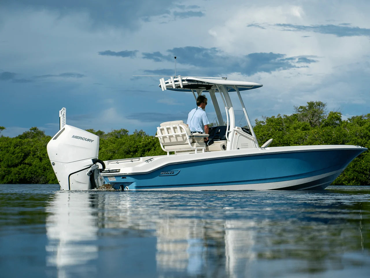 2026 Boston Whaler 250 Dauntless 25.0 feet, Fort Myers, FL #3