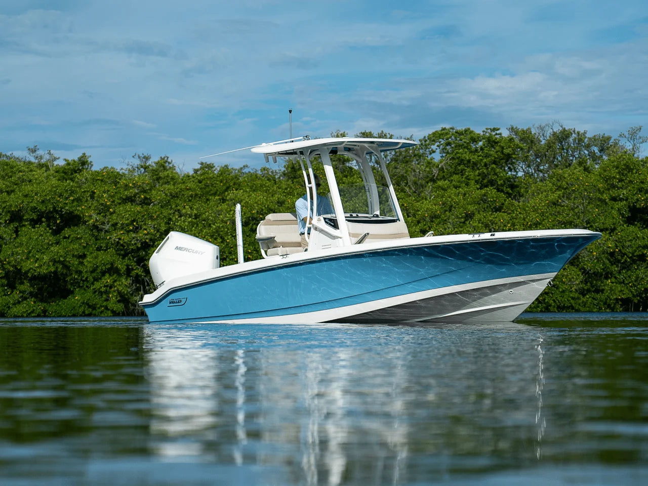 2026 Boston Whaler 250 Dauntless 25.0 feet, Fort Myers, FL #24