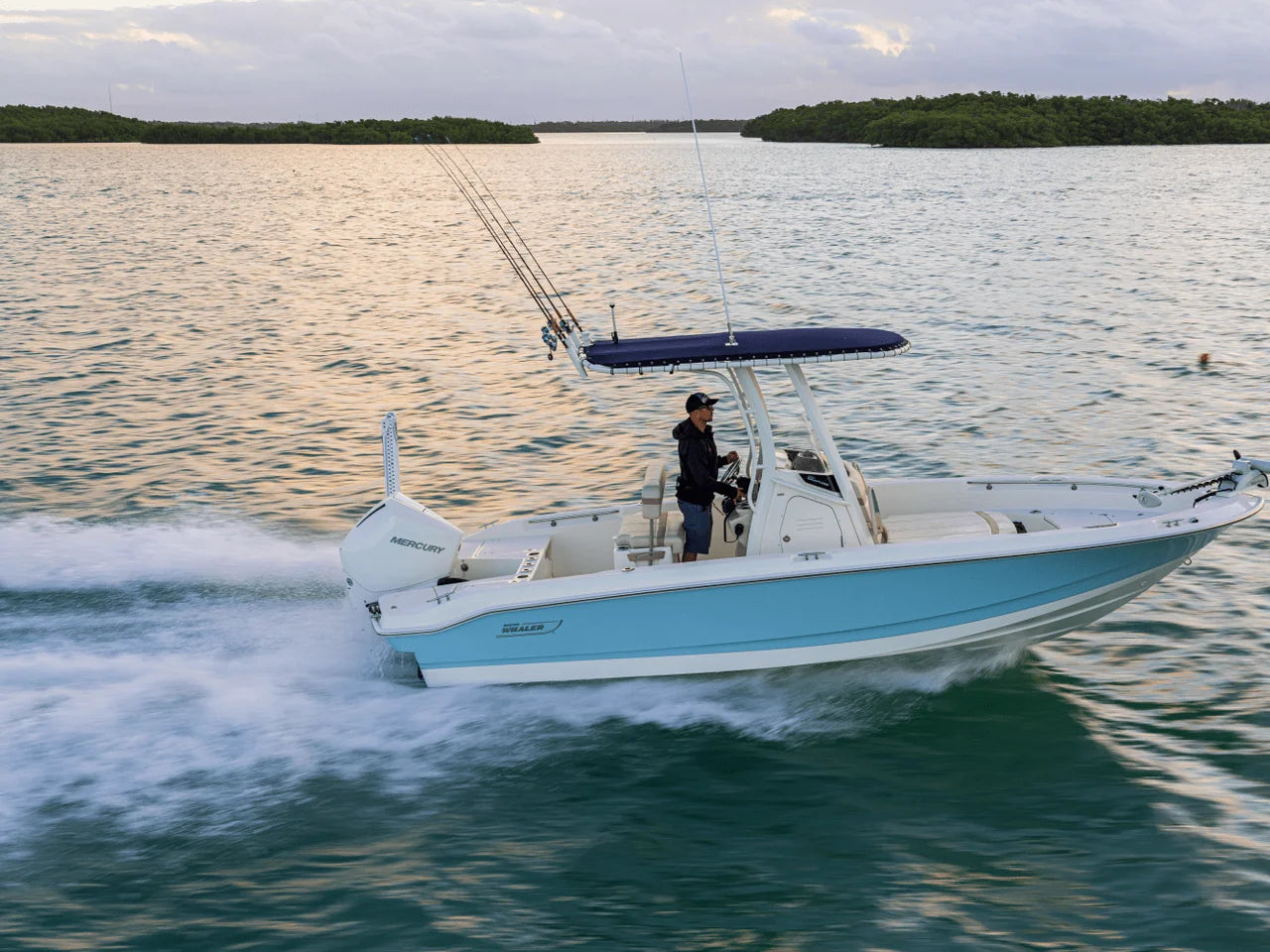 2027 Boston Whaler 220 Dauntless 22.0 feet, Naples, Florida #26