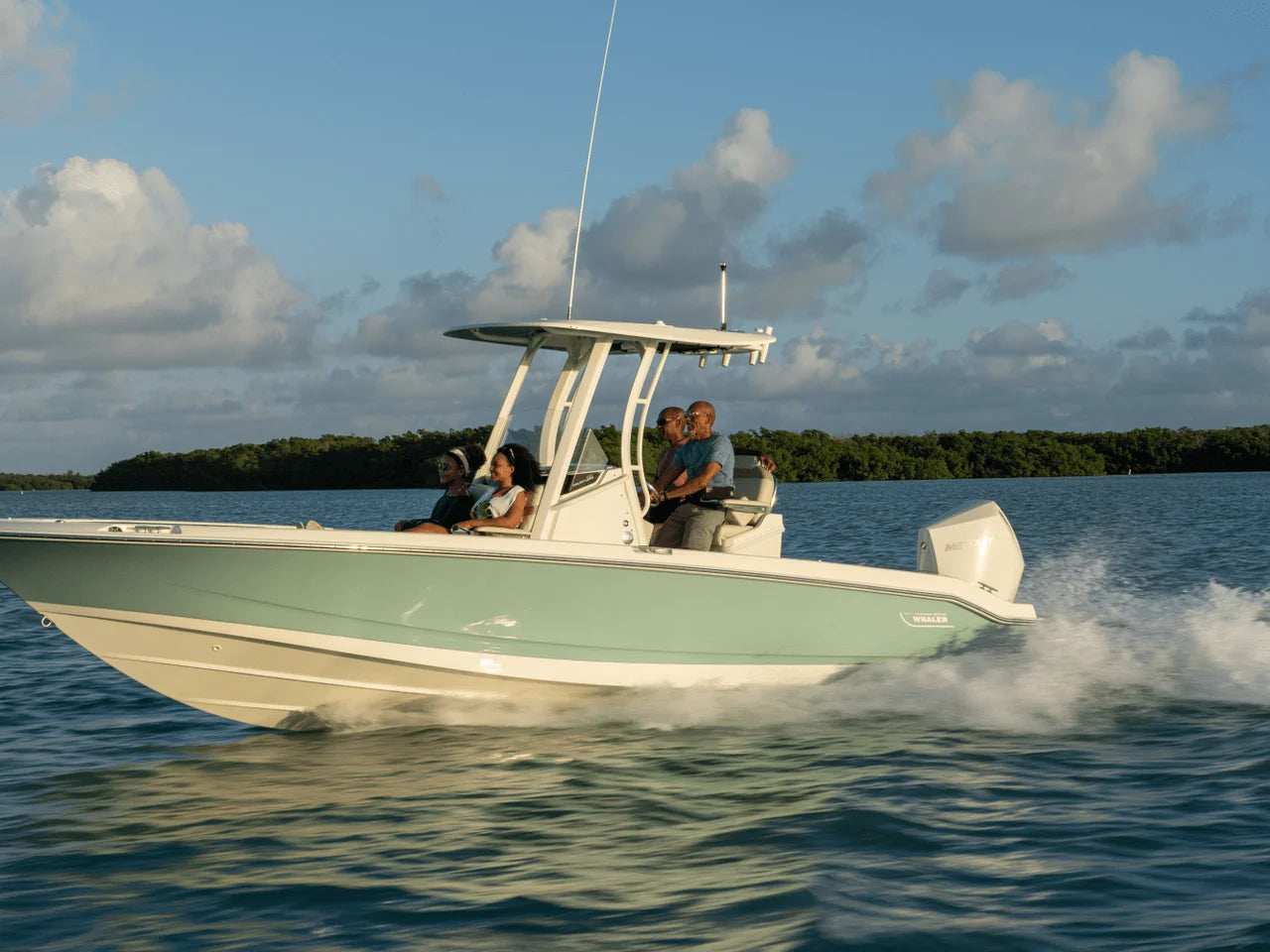 2027 Boston Whaler 250 Dauntless 25.0 feet, Clearwater, Florida #41
