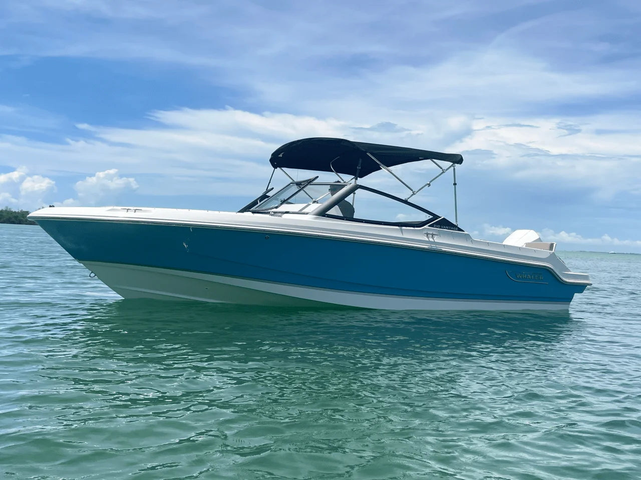 2025 Boston Whaler 210 Vantage 21.0 feet, Sarasota, Florida #10