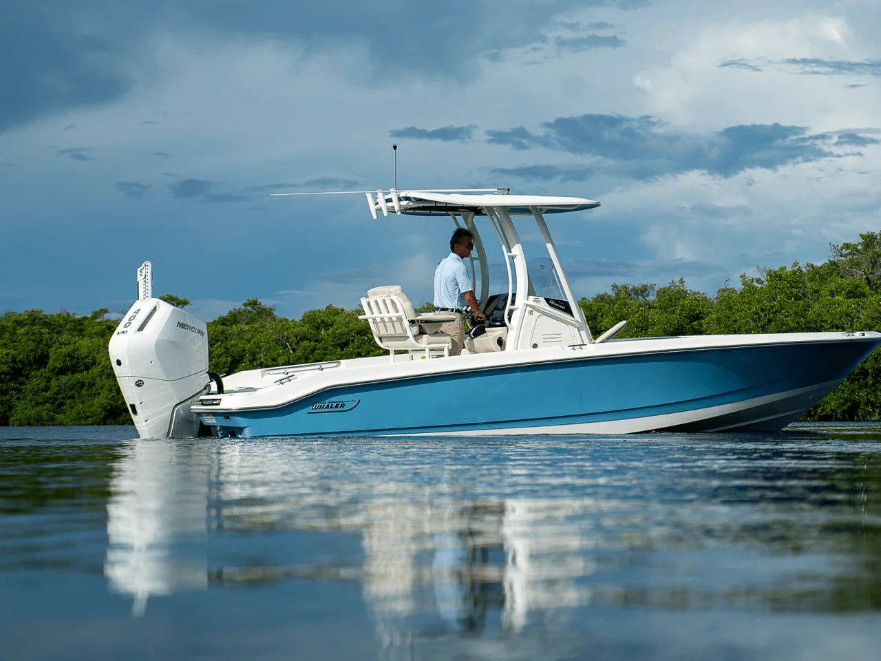 2026 Boston Whaler 250 Dauntless 25.0 feet, Fort Myers, FL #39