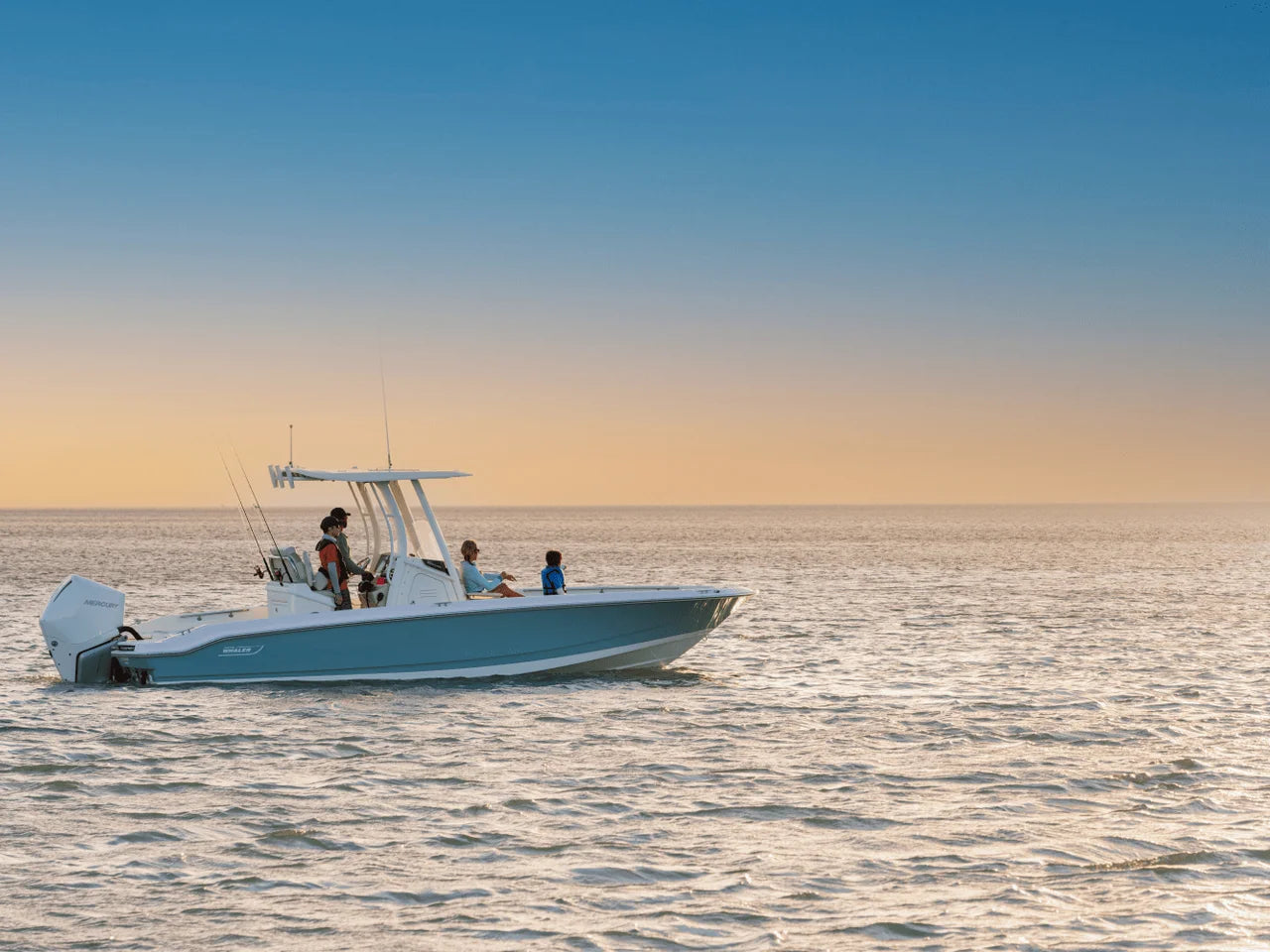 2027 Boston Whaler 250 Dauntless 25.0 feet, Naples, Florida #9