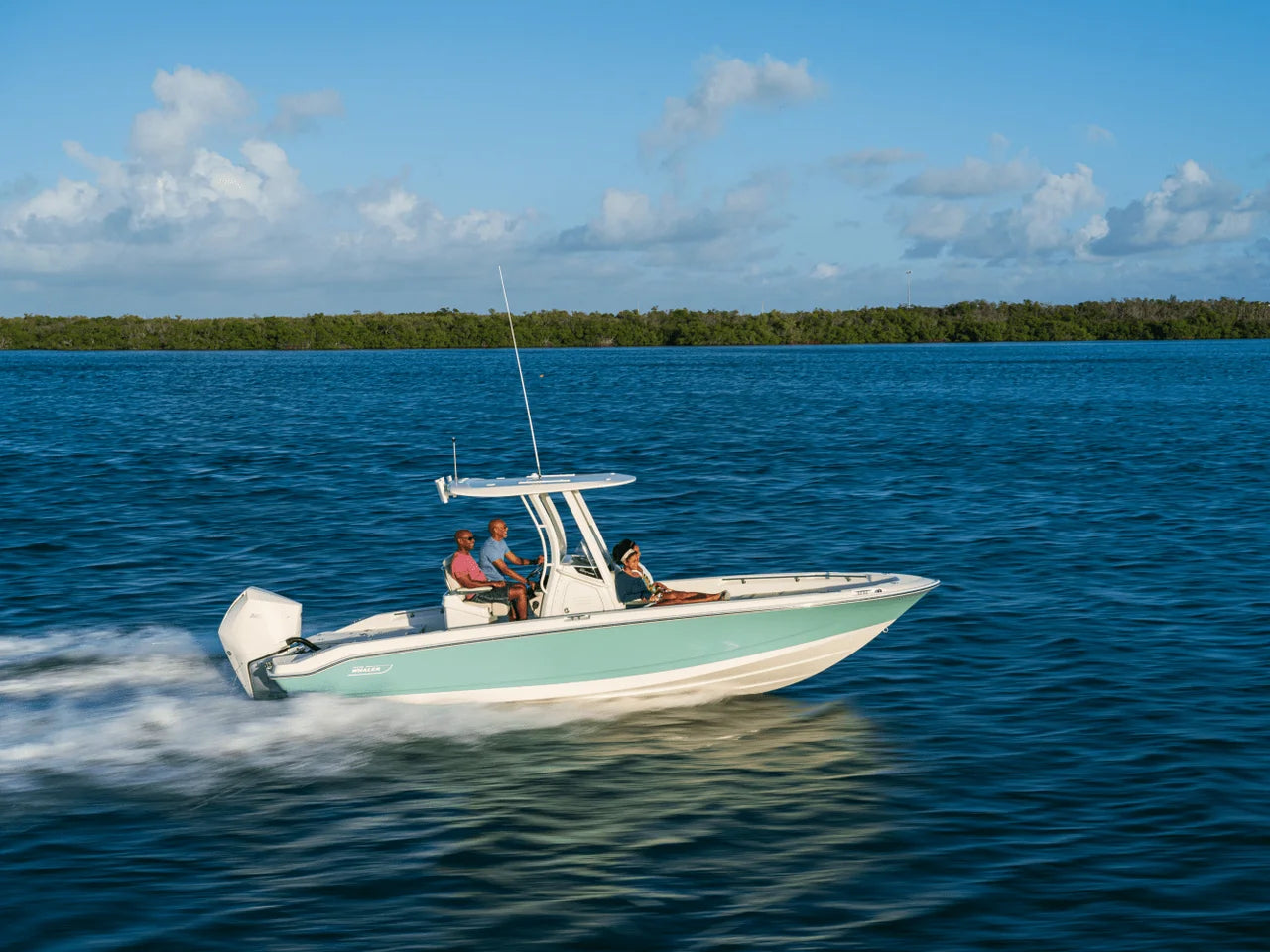 2027 Boston Whaler 250 Dauntless 25.0 feet, Naples, Florida #27
