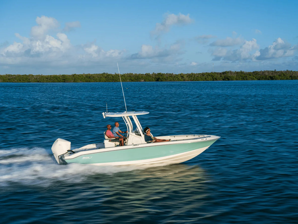 2027 Boston Whaler 250 Dauntless 25.0 feet, Naples, Florida #27