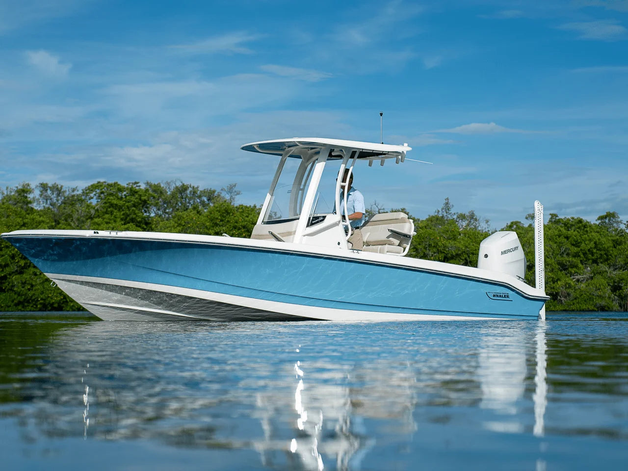 2026 Boston Whaler 250 Dauntless 25.0 feet, Fort Myers, FL #29