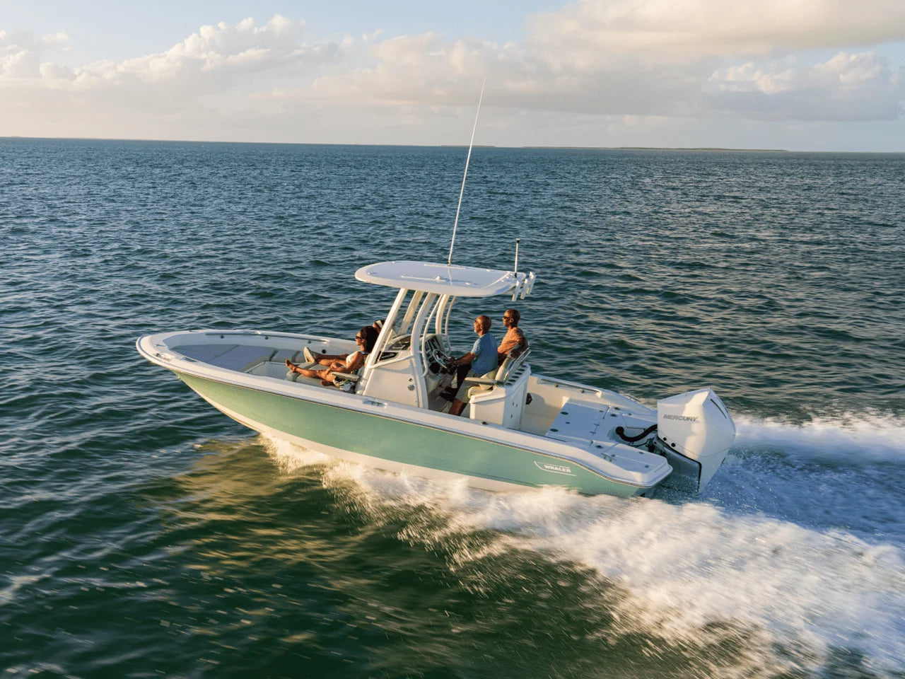 2027 Boston Whaler 250 Dauntless 25.0 feet, Naples, Florida #3