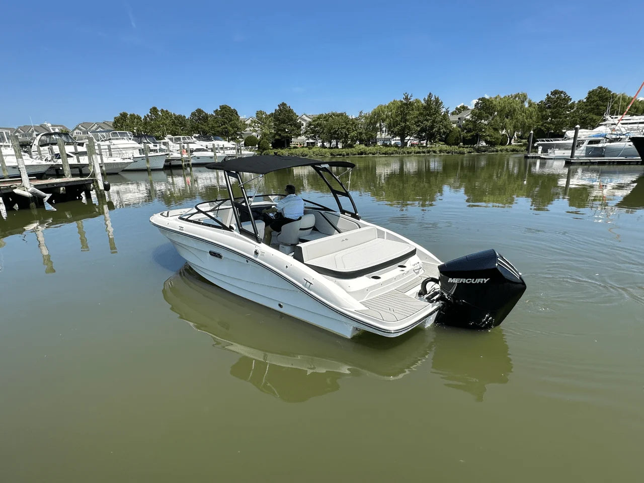 2026 Sea Ray SPX 210 Outboard 21.0 feet, Grasonville, MD #5