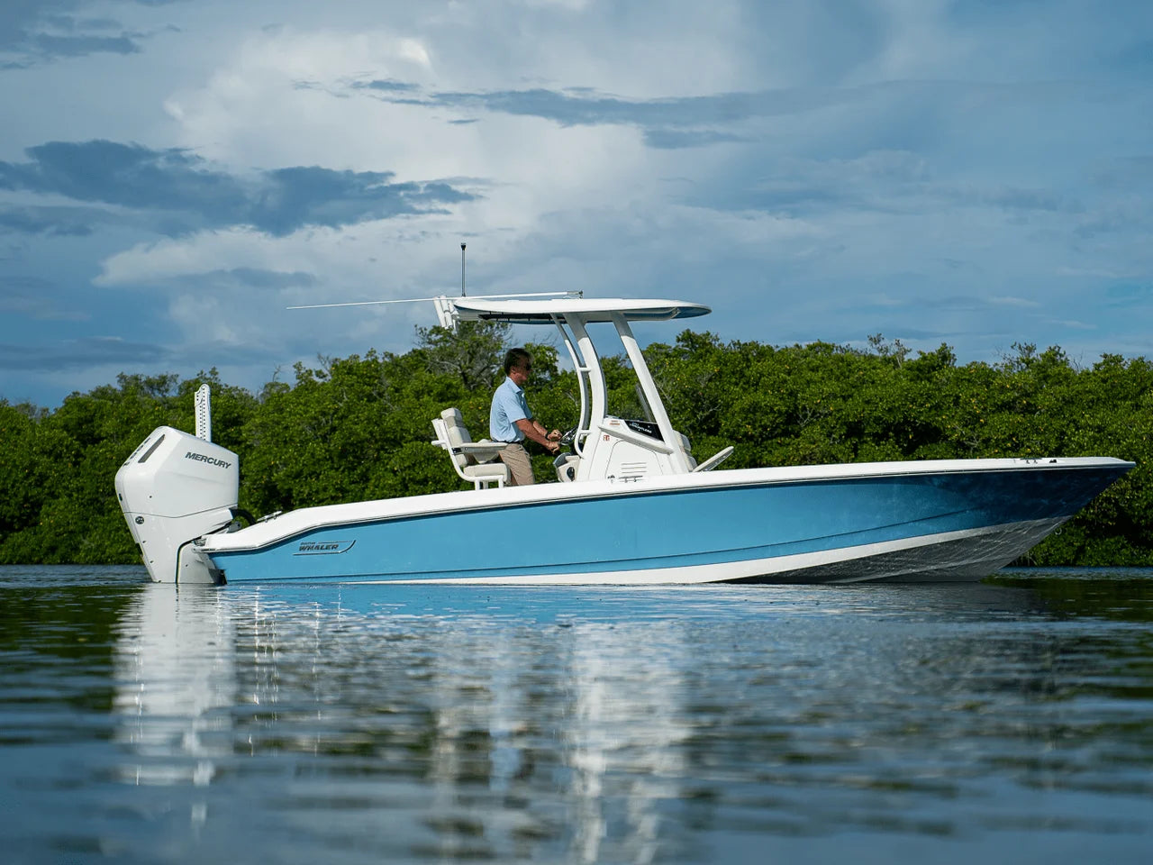 2026 Boston Whaler 250 Dauntless 25.0 feet, Fort Myers, FL #22