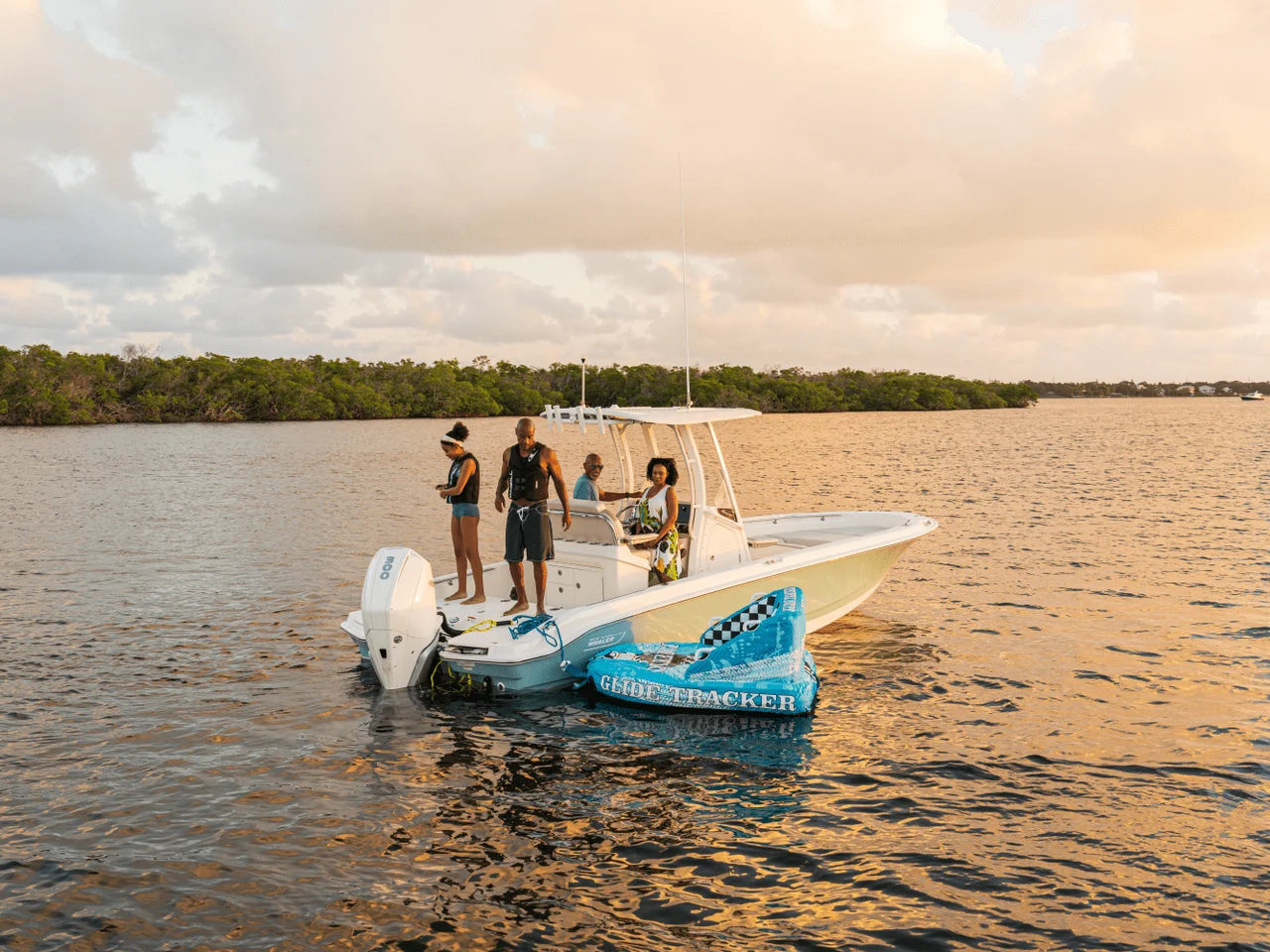 2027 Boston Whaler 250 Dauntless 25.0 feet, Naples, Florida #29