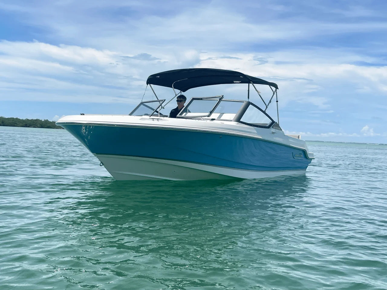 2025 Boston Whaler 210 Vantage 21.0 feet, Sarasota, Florida #11