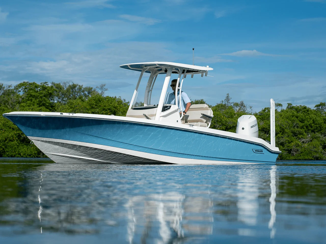 2026 Boston Whaler 250 Dauntless 25.0 feet, Fort Myers, FL #4