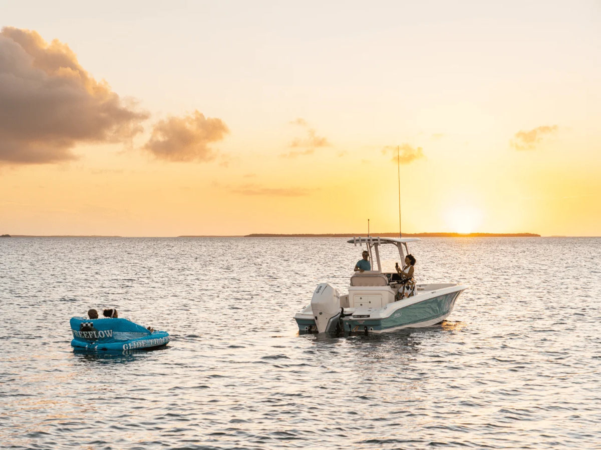 2027 Boston Whaler 250 Dauntless 25.0 feet, Seabrook, TX #32