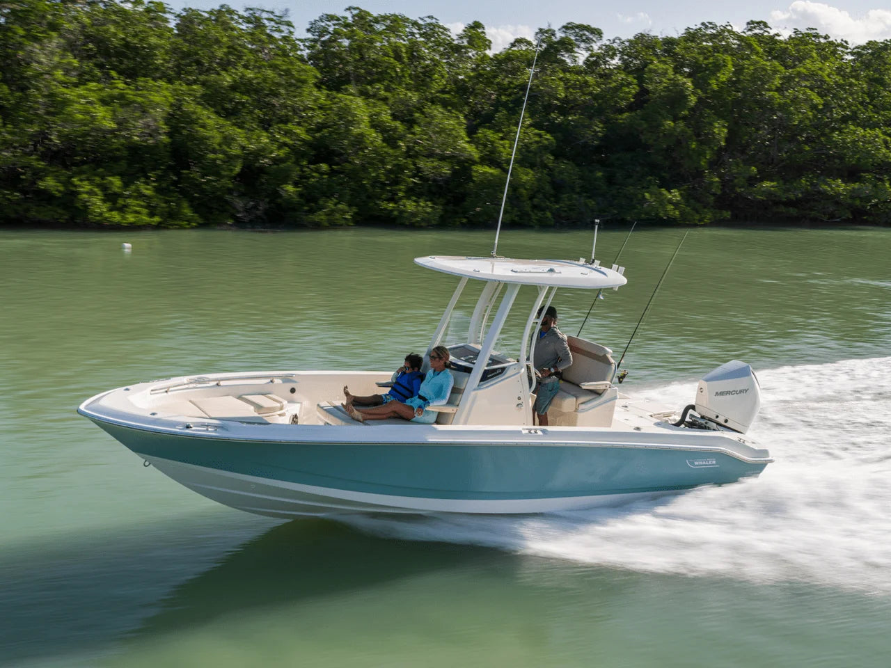 2027 Boston Whaler 250 Dauntless 25.0 feet, Naples, Florida #2