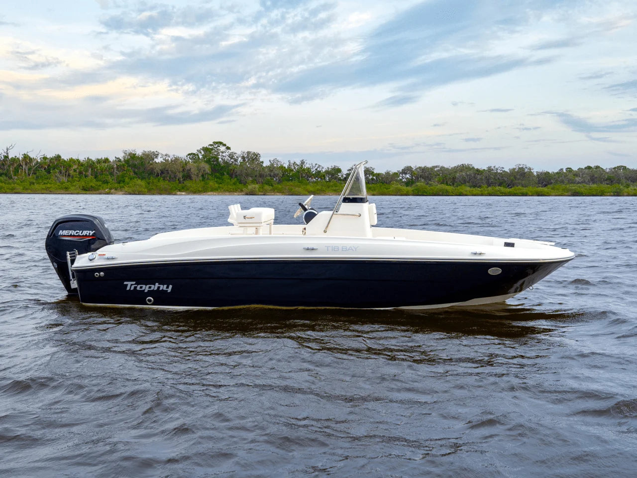2025 Bayliner T18 18.0 feet, Inuvik, Northwest Territories #6