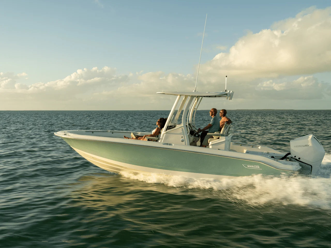 2027 Boston Whaler 250 Dauntless 25.0 feet, Gulf Shores, AL #36