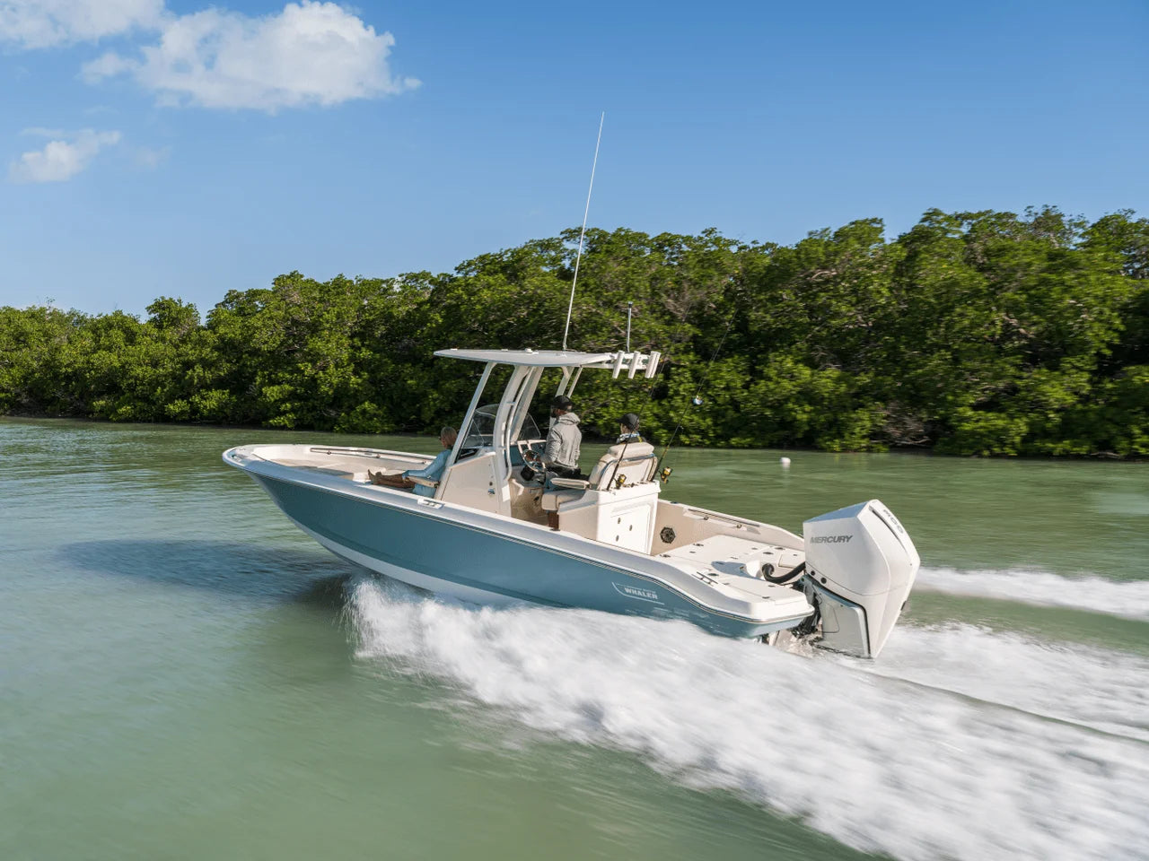 2027 Boston Whaler 250 Dauntless 25.0 feet, Naples, Florida #16