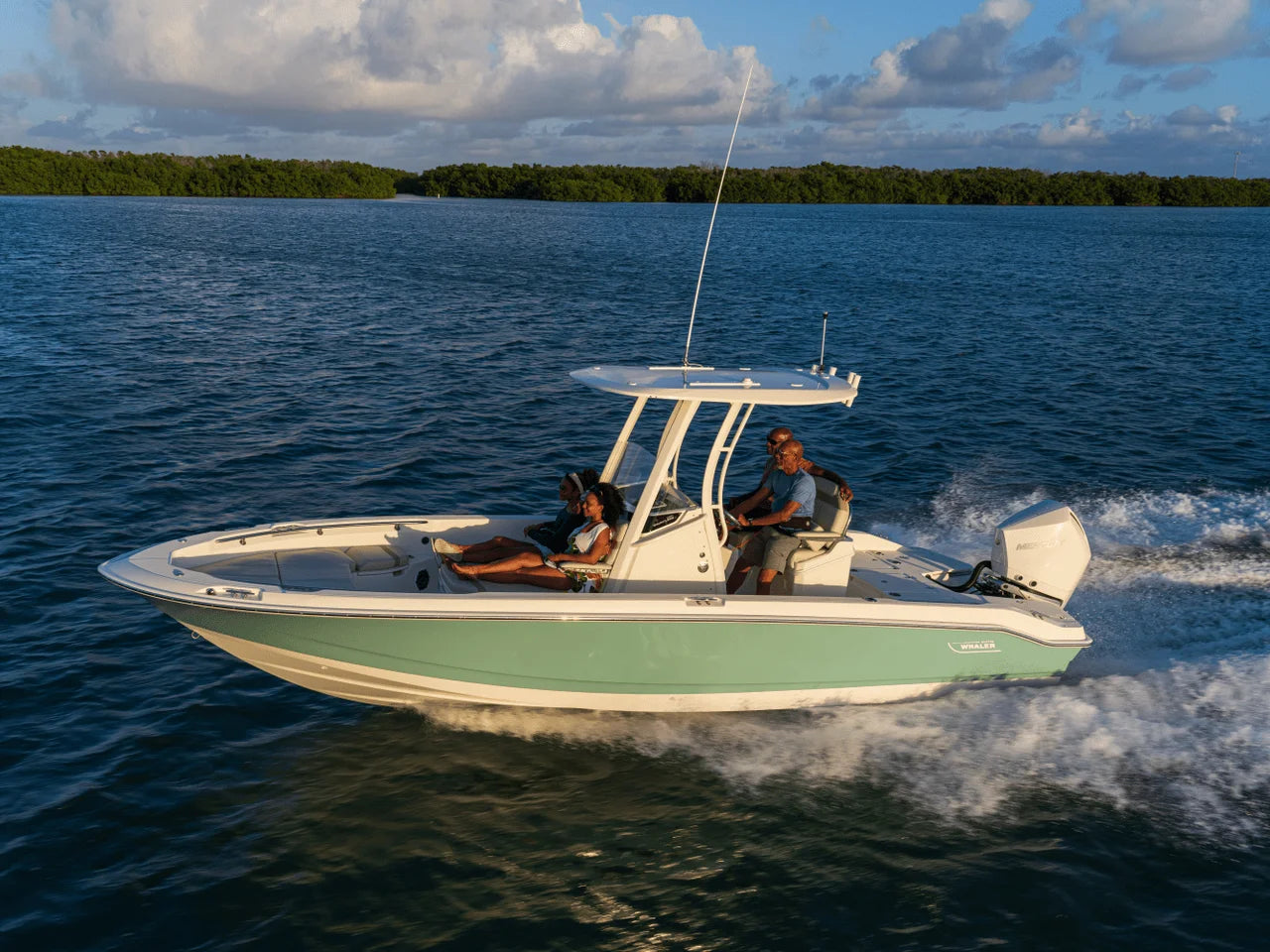 2027 Boston Whaler 250 Dauntless 25.0 feet, Naples, Florida #28