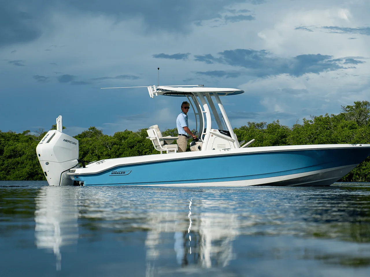 2026 Boston Whaler 250 Dauntless 25.0 feet, Fort Myers, FL #40
